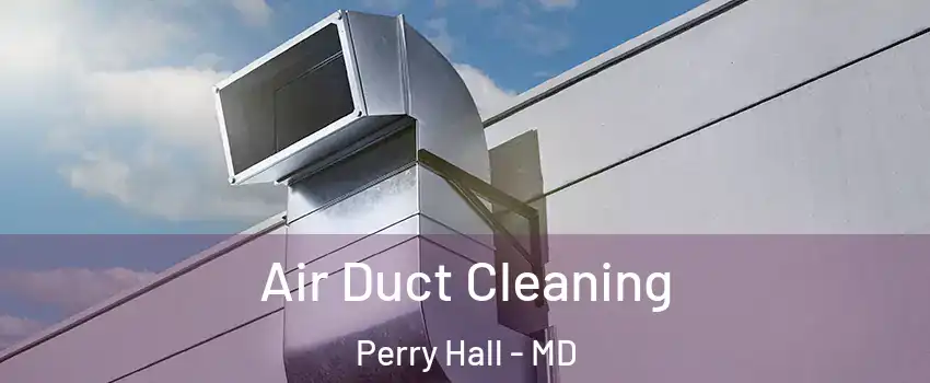  Air Duct Cleaning Perry Hall - MD