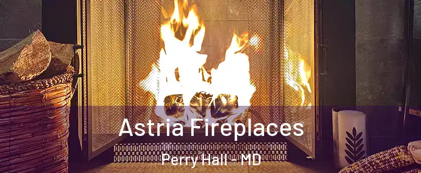  Astria Fireplaces Perry Hall - MD