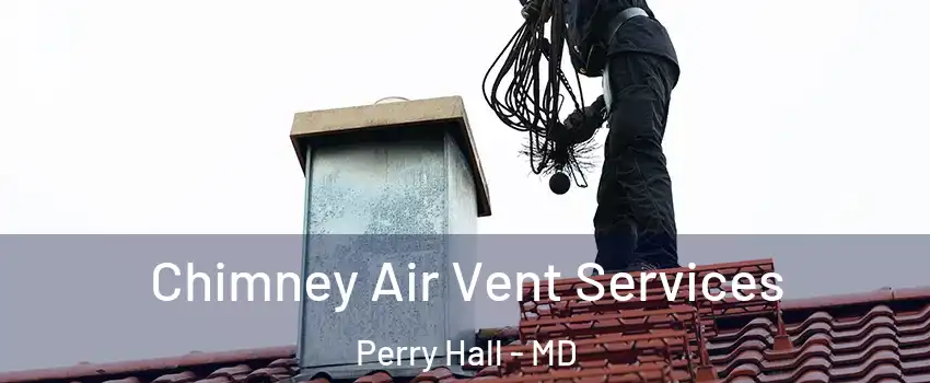  Chimney Air Vent Services Perry Hall - MD