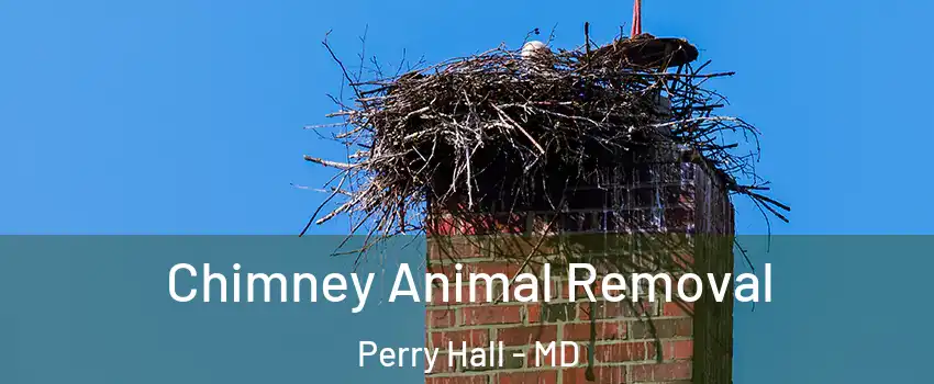  Chimney Animal Removal Perry Hall - MD