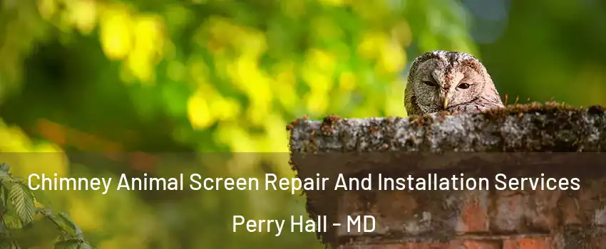  Chimney Animal Screen Repair And Installation Services Perry Hall - MD