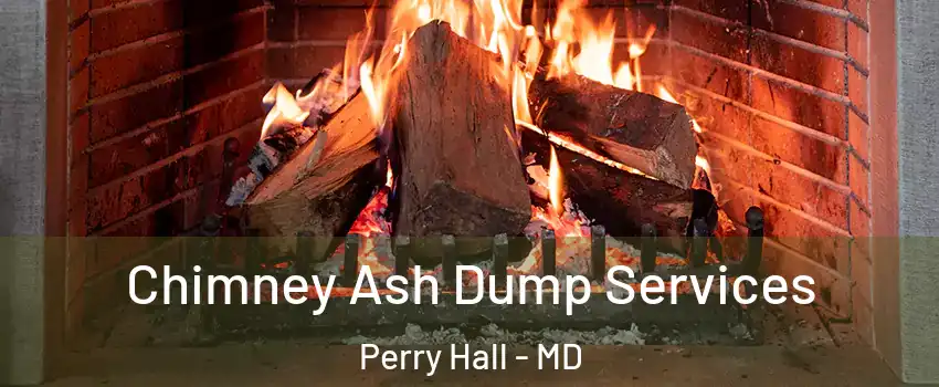  Chimney Ash Dump Services Perry Hall - MD