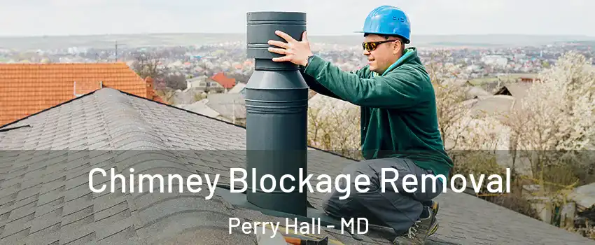  Chimney Blockage Removal Perry Hall - MD
