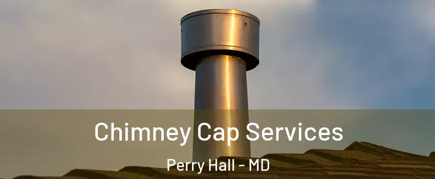  Chimney Cap Services Perry Hall - MD