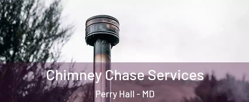  Chimney Chase Services Perry Hall - MD