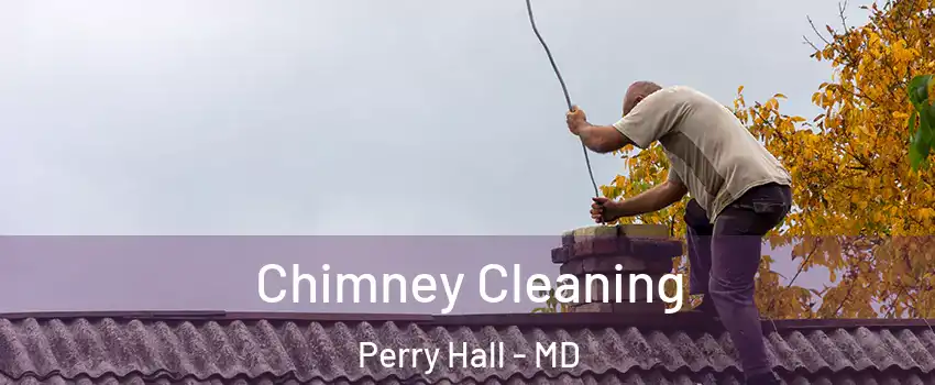  Chimney Cleaning Perry Hall - MD