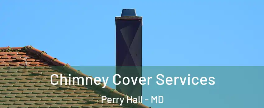  Chimney Cover Services Perry Hall - MD