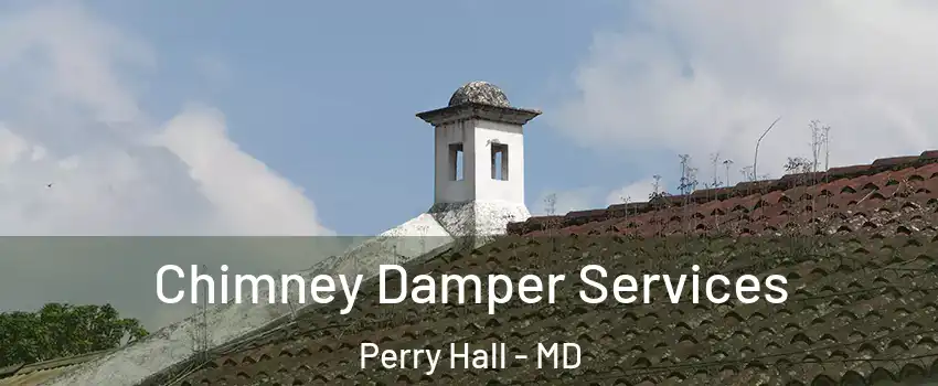  Chimney Damper Services Perry Hall - MD