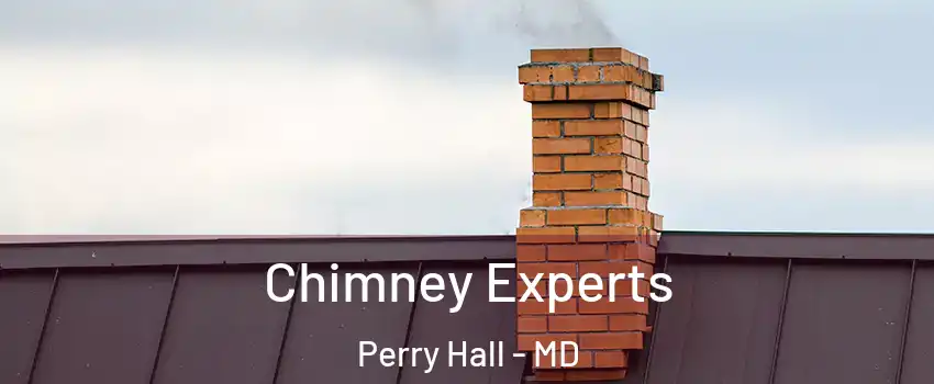  Chimney Experts Perry Hall - MD