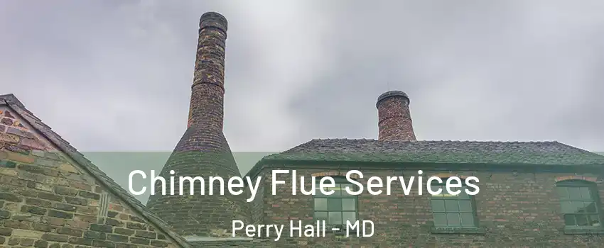  Chimney Flue Services Perry Hall - MD