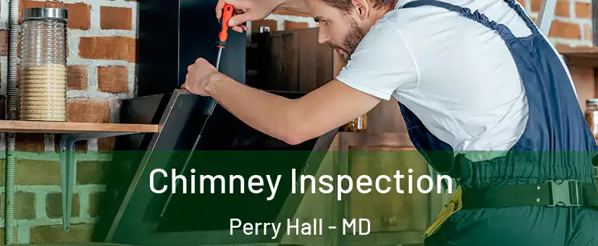  Chimney Inspection Perry Hall - MD