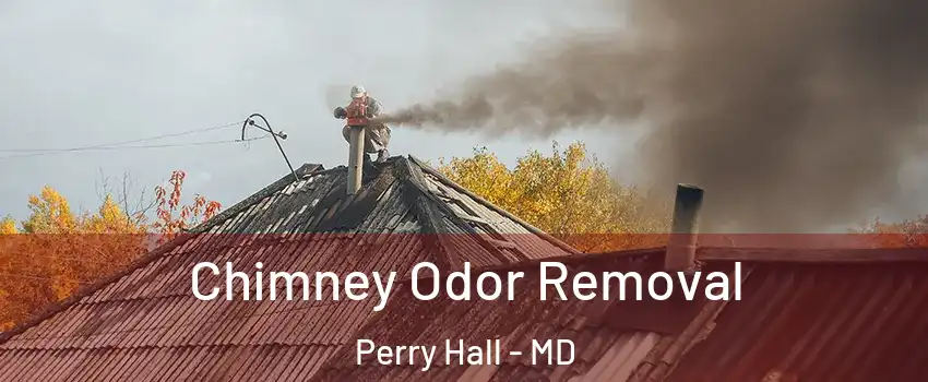  Chimney Odor Removal Perry Hall - MD