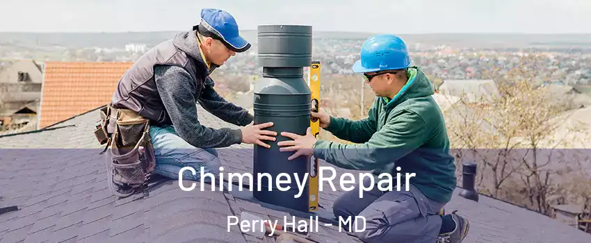  Chimney Repair Perry Hall - MD