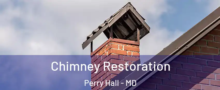  Chimney Restoration Perry Hall - MD