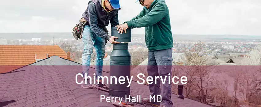  Chimney Service Perry Hall - MD