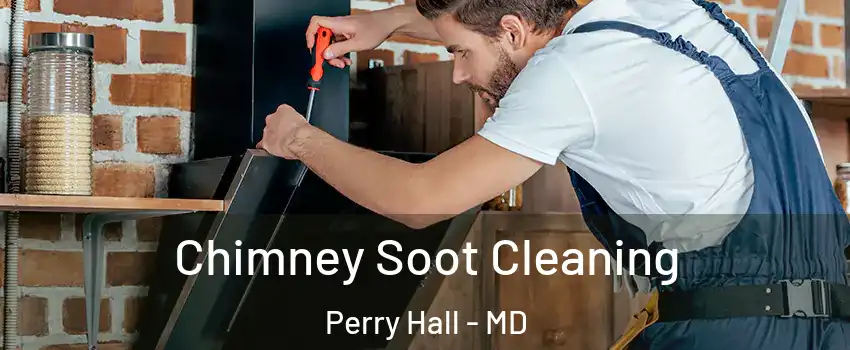  Chimney Soot Cleaning Perry Hall - MD