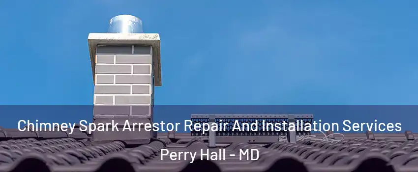  Chimney Spark Arrestor Repair And Installation Services Perry Hall - MD