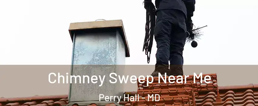 Chimney Sweep Near Me Perry Hall - MD