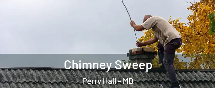  Chimney Sweep Perry Hall - MD