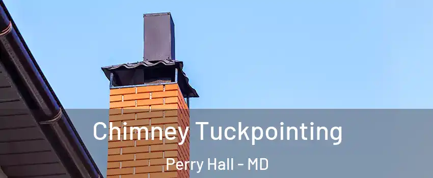  Chimney Tuckpointing Perry Hall - MD