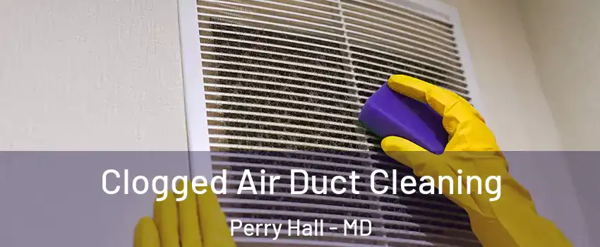  Clogged Air Duct Cleaning Perry Hall - MD
