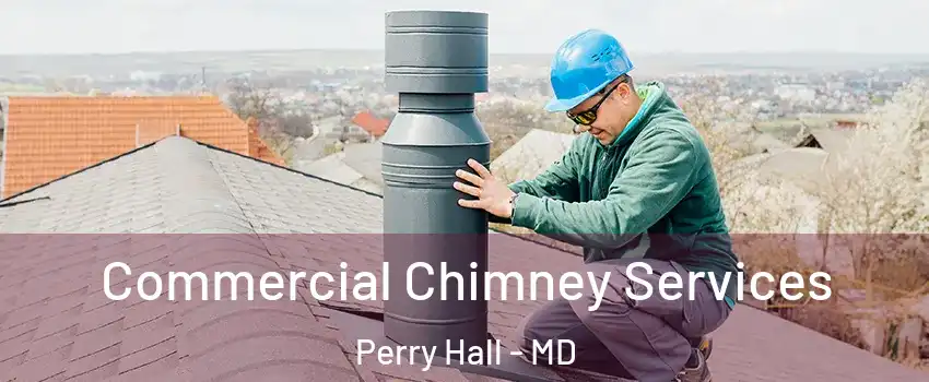  Commercial Chimney Services Perry Hall - MD