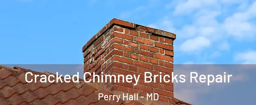  Cracked Chimney Bricks Repair Perry Hall - MD