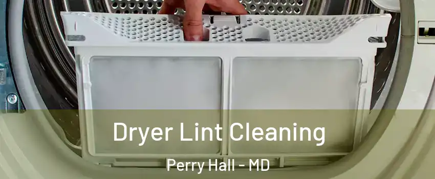  Dryer Lint Cleaning Perry Hall - MD