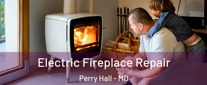  Electric Fireplace Repair Perry Hall - MD