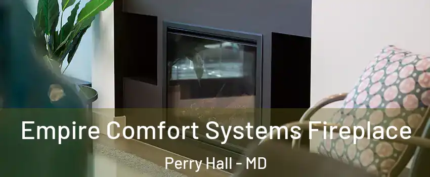  Empire Comfort Systems Fireplace Perry Hall - MD