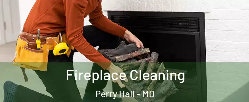  Fireplace Cleaning Perry Hall - MD