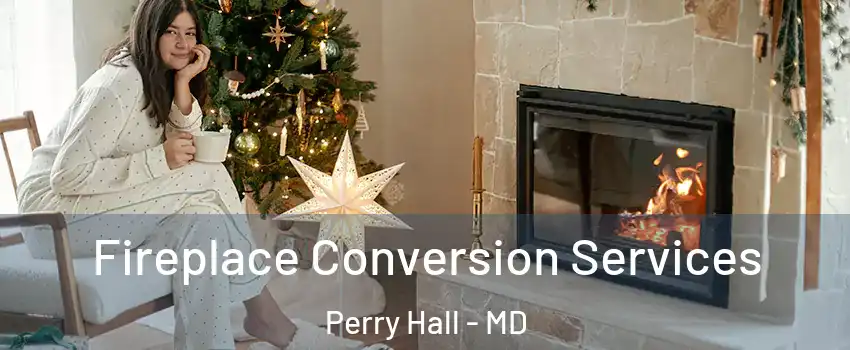  Fireplace Conversion Services Perry Hall - MD