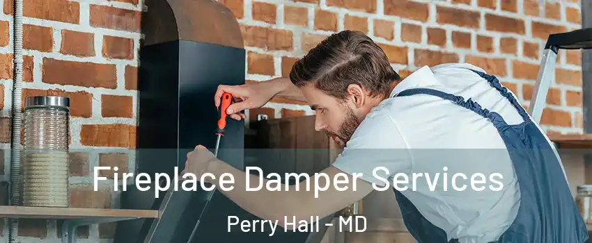  Fireplace Damper Services Perry Hall - MD