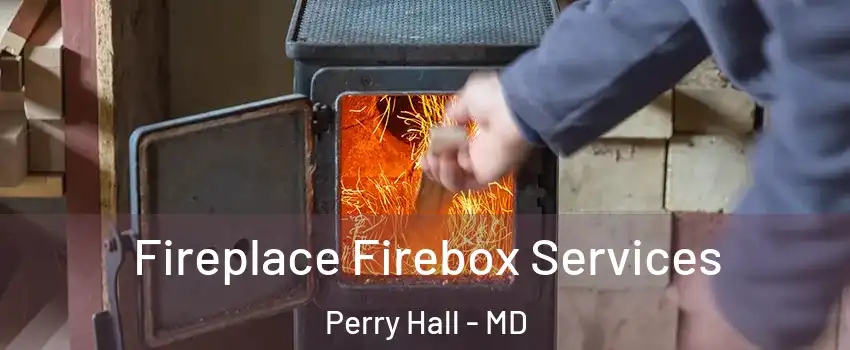  Fireplace Firebox Services Perry Hall - MD