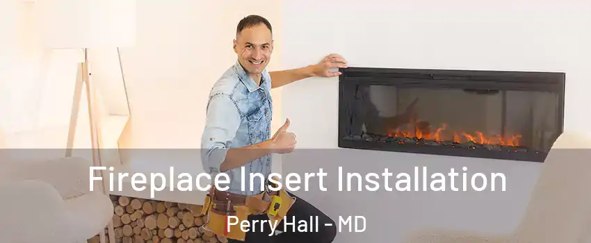  Fireplace Insert Installation Perry Hall - MD