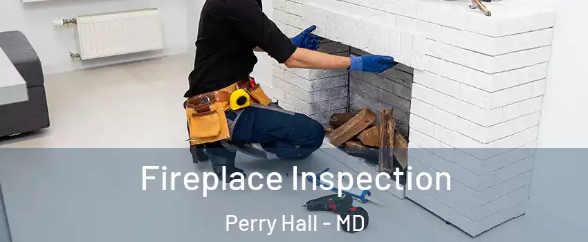  Fireplace Inspection Perry Hall - MD