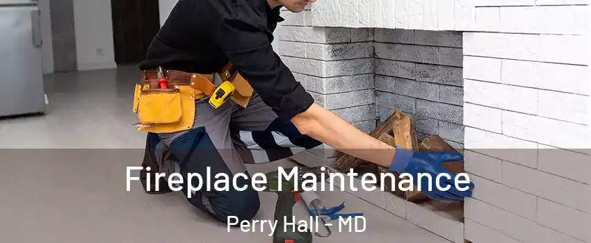  Fireplace Maintenance Perry Hall - MD