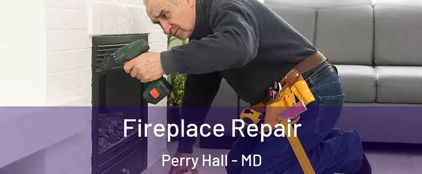  Fireplace Repair Perry Hall - MD