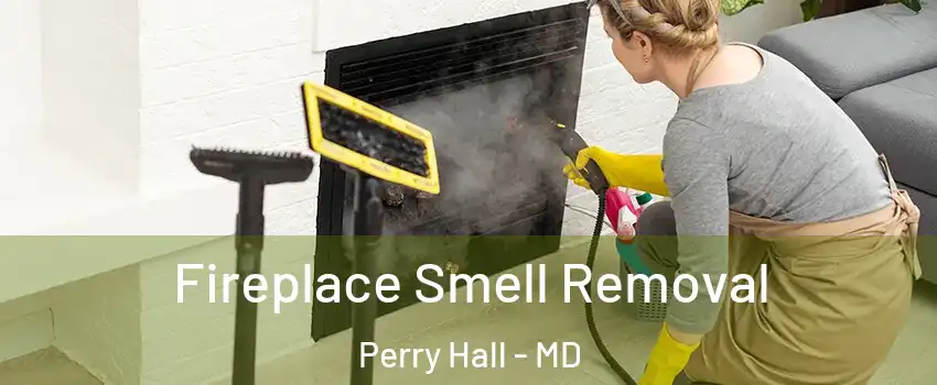  Fireplace Smell Removal Perry Hall - MD