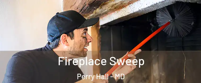  Fireplace Sweep Perry Hall - MD