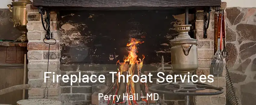  Fireplace Throat Services Perry Hall - MD