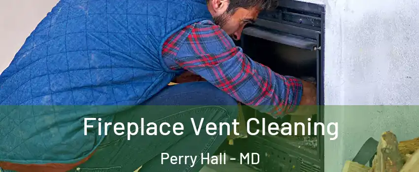  Fireplace Vent Cleaning Perry Hall - MD