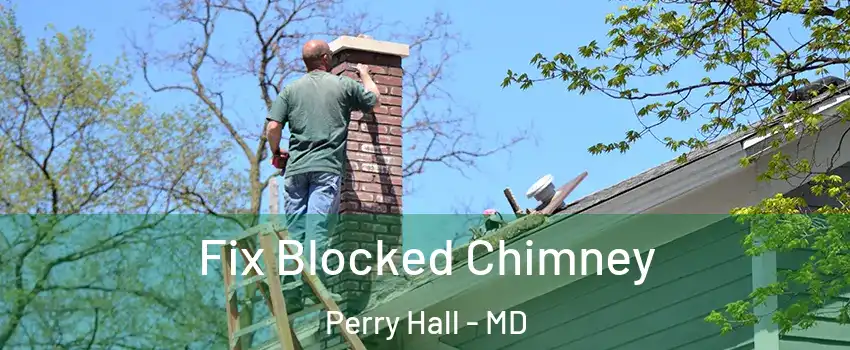  Fix Blocked Chimney Perry Hall - MD