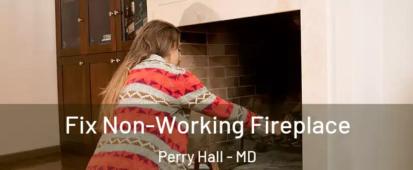 Fix Non-Working Fireplace Perry Hall - MD