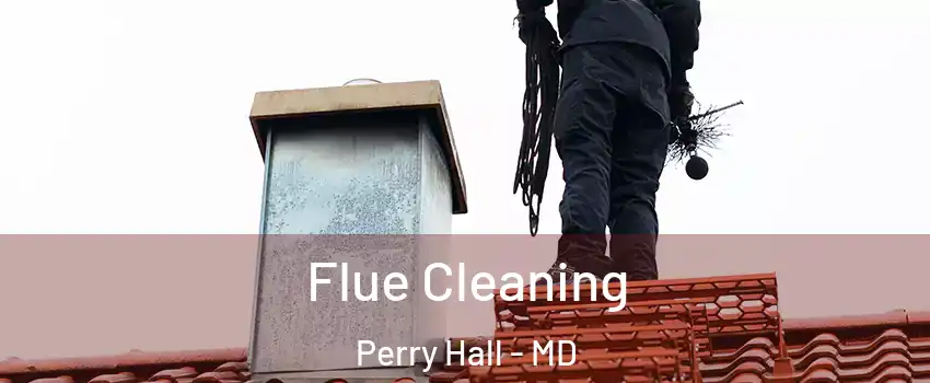  Flue Cleaning Perry Hall - MD