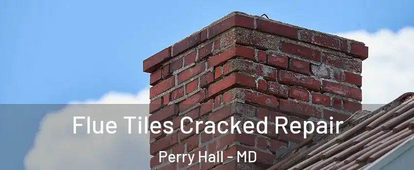  Flue Tiles Cracked Repair Perry Hall - MD