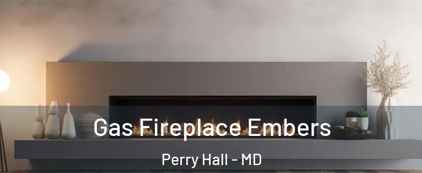  Gas Fireplace Embers Perry Hall - MD