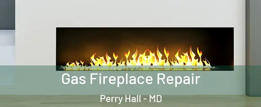  Gas Fireplace Repair Perry Hall - MD