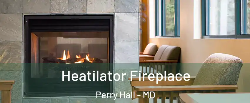  Heatilator Fireplace Perry Hall - MD