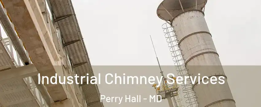  Industrial Chimney Services Perry Hall - MD